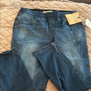 Democracy Blue Women's Jeans